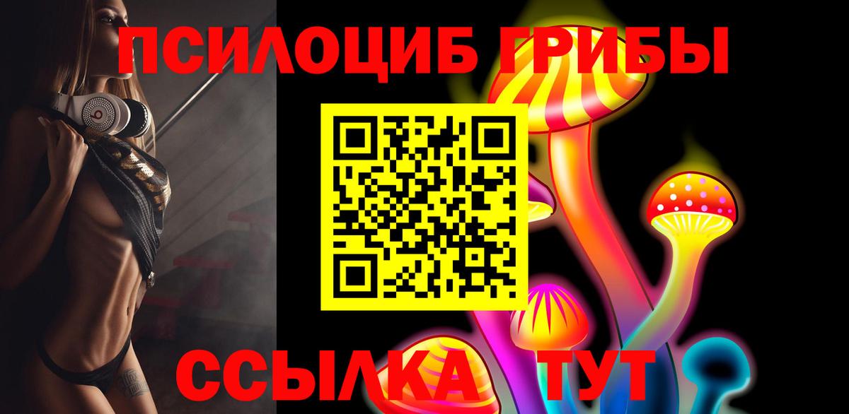 Псилоцибиновые грибы GOLDEN TEACHER Ахтубинск
